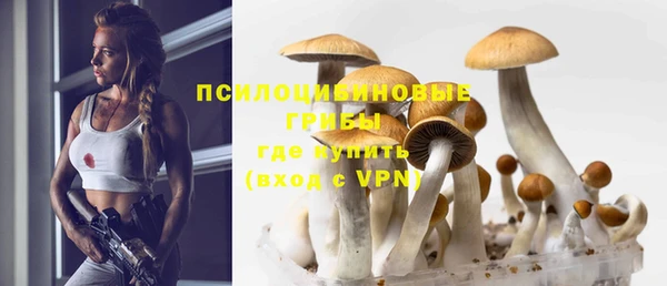 ПСИЛОЦИБИНОВЫЕ ГРИБЫ Беломорск