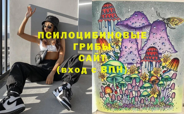ПСИЛОЦИБИНОВЫЕ ГРИБЫ Беломорск