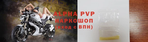 ПСИЛОЦИБИНОВЫЕ ГРИБЫ Беломорск