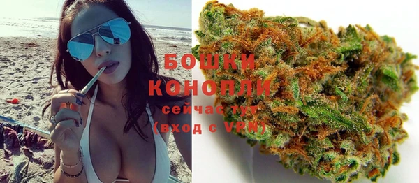 ПСИЛОЦИБИНОВЫЕ ГРИБЫ Беломорск