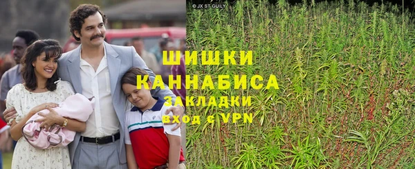ПСИЛОЦИБИНОВЫЕ ГРИБЫ Беломорск