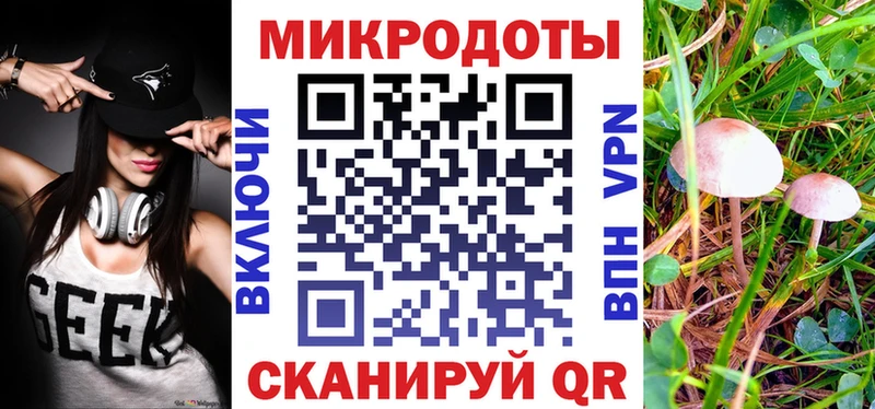 Псилоцибиновые грибы Psilocybe  Златоуст 